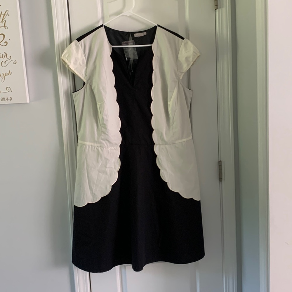 Eshakti black and Creme Scalloped‎ dress size 2X-22W fit and flare midi